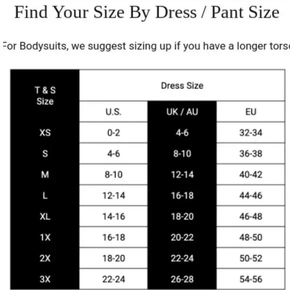 NWT Thistle and Spire Lingerie Tigris Plus Size 3X - Picture 5 of 6